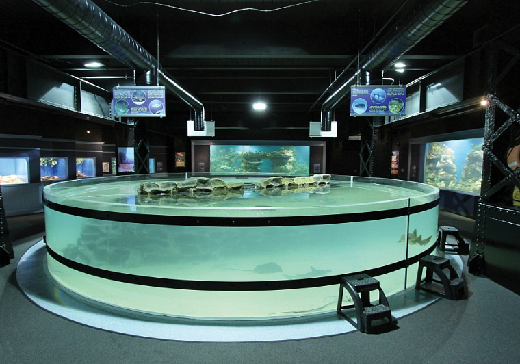 Greater Cleveland Aquarium