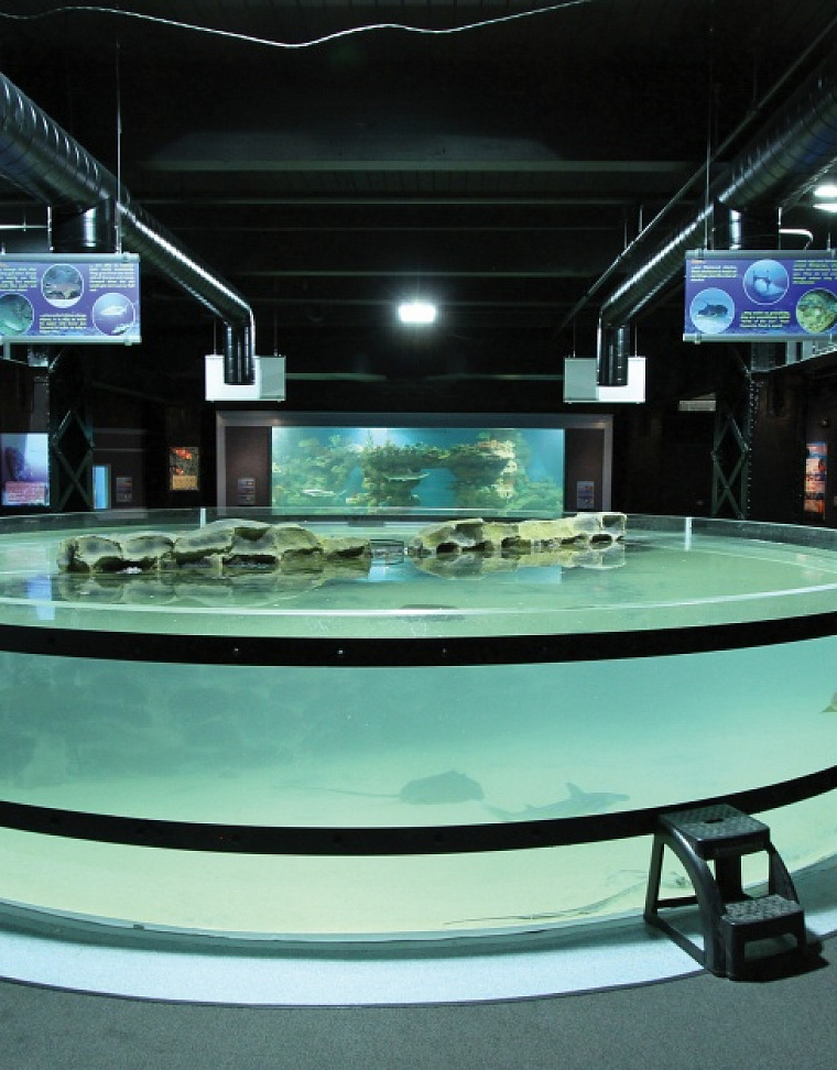 Greater Cleveland Aquarium